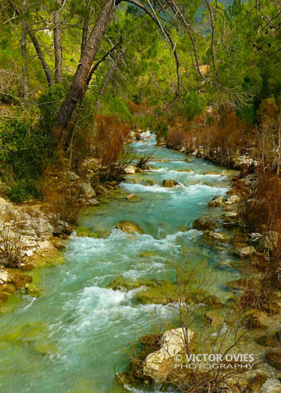 Río Borosa - Parque Natural Sierras de Cazorla, Segura y Las Villas 